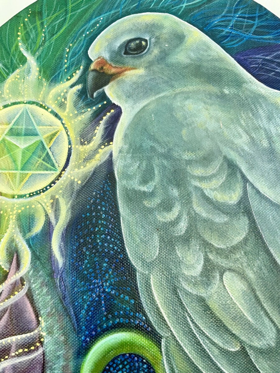 Spirit of Gray Goshawk - Image 4